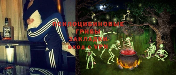 соль курить ск Белокуриха