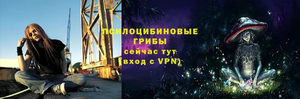 соль курить ск Белокуриха