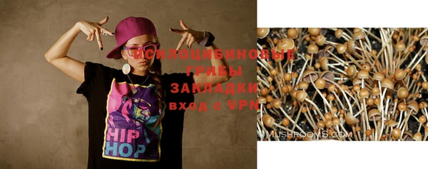 соль курить ск Белокуриха